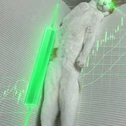 Coin image for 9P2QFGPLhAVHmTN5K2pof8yh79AoC6WR77Pw9jkkpump