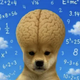 Coin image for 9Pzj6m2YnUTW6CXnaskZ8qs5ZyPGQrGo9MhDEFSy8Sym