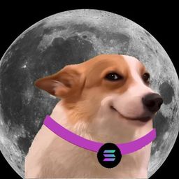 Coin image for 9Q3cGQGSYuofpL2ZCfbV8QHrvokPDs1dVYGmLhWEpump