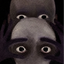 Coin image for 9R4UqSEghFvPvAeMBXXPcvBSRwXapKKU1euKuzJhpump