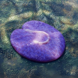 Coin image for 9R7kGuRaTvprGcZCZQg71XjqUPsKCeBLaut6c8Thpump