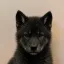 Coin image for 9R8gsVK3aQZwdJob7uvh8GLVZesCGwVRTHBCHVBSzkHv