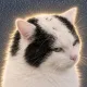 Coin image for 9RKEE8iqQbVVY6z6UrHiDNB3gNr5sUTHHbUeFng9pump