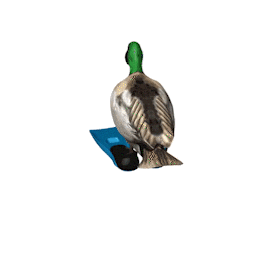 Coin image for 9RMx5Aqy2mA7TdsQHqUWHsKHGHLwHcDHamSoBMuRpump