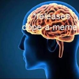 Coin image for 9SEmWixjJpfogpM3hrwpUd9d5fDdJZpjApLnssFYpump