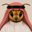 Coin image for 9Sghcjrv8cKmuyeRC9gGfkwCe5nJgiLoh1oiG7oiAbeP
