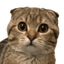 Coin image for 9TojMcqwjtSi4E4LnhRcKH4vqTwWWPUxZSQsbCwwpump