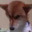 Coin image for 9U2E3LTEjgLrfJzwrkXqkZ8puLFHxwSkTeKXcBEFpump