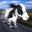 Coin image for 9U3UhGAZEiYQ5WbXSizsYf4MfbNjRA8wP2oMLRSTpump