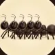 Coin image for 9U876oLLZngSK65T8mJyWbYJPKHsZtPmZJBFQbiMpump