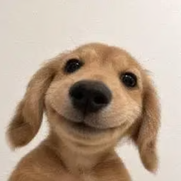 Coin image for 9VG4uxjVHhGkyLmyT5PfeGq34eGRMLzdaAVnwGAxpump
