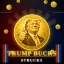 Coin image for 9VsKWTMhmzvGvQ8Z4tV8y2toVr6wD2v2P91ZDitxhnZ9