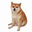 Coin image for 9WATiaQRAvnG3qKDRtw4yoH7FbwbJDXoeaubbj7Wpump