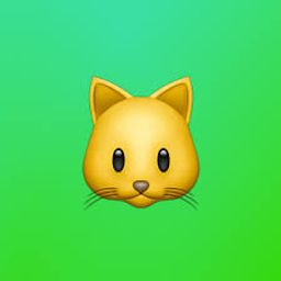 Coin image for 9WkxjGkhXPcuWibwCVQZGPtDFHFYP86BJxrnFqKwpump