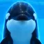 Coin image for 9Wn86DbmUjxT8gVSehBM7bdPJbM3bqw1fMdwAzSSpump