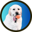 Coin image for 9X2jTh2SPKBUBWD5wYuTBs1SsCJXbePYB8yfiVCvpump