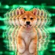 Coin image for 9Xs6jmnGyxMPdTGjGt4NAYRXvM9xDb3Q7FKt7us4pump