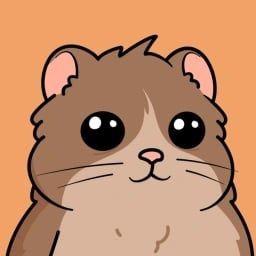 Coin image for 9Yg5CpYoHkffhf3bcdkmMnt3U9fHYvXKBbTqChwnpump