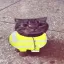 Coin image for 9abVz8uv9K6DqaD6r9QDopYYUXGUaCDuj8aaijPjpump