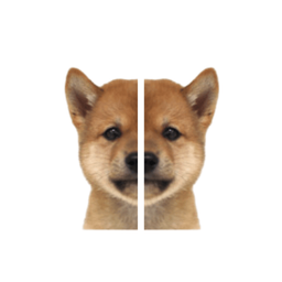 Coin image for 9btDEHV13SpE91YzxLCAbuFSftrWqCtnpSEqWiUPpump