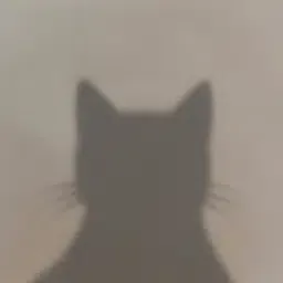 Coin image for 9c4ecGppsZUifMNDqbTimybEYfchuhiT3JFTZmVbpump