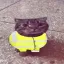 Coin image for 9cf8DfuiXxVXhCJSpMnLTxWn7iRkerYrFRNErMzSsMUA