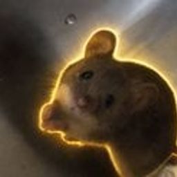 Coin image for 9czuqH1iV8aZmsfGDRyRGSVbvCaa1fVGBSi5DDSMpump