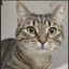 Coin image for 9dPaWpYxeCazVydZhzr6DEQbqa7xq1sbmsTtcAYMRQen