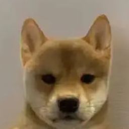 Coin image for 9dWdwaXML4d7NeYpibqBNGjmKWFz7vEkSPkftFkVpump