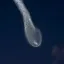 Coin image for 9eRdMQwthC4Y6UiBxQP1EzneCAmgM3gMQ4b79vJPpump