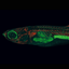 Coin image for 9eciHjJopku15zkke5GGdpPdfsDTqsfhQA9EibrApump