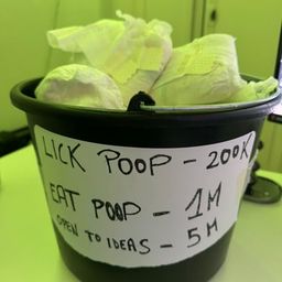 Coin image for 9eiv8nBE6EMXawbqpZ7PVv3fCeGYrFKYSj1fARATpump