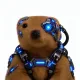 Coin image for 9fMRN1SxR3PVPJo9fZse4RQgXJUceBjxi2hzjKpppump