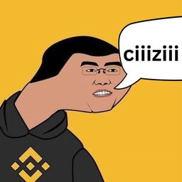 Coin image for 9gciibEiFsui2nLaxmwVSWAPqF3Y2F1hgLmJsMLcpump