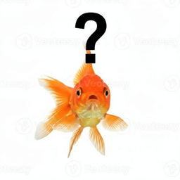Coin image for 9gzUQHE4VLAFZGY2G2yquHBEmrsEaFHo9zaUbseGpump