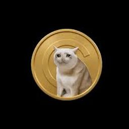 Coin image for 9hKAy9FWTih7FUrQPc4UcMkGaBzcNULW7b9Yru3kpump