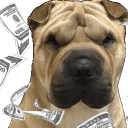 Coin image for 9hdmUKtms44YdUkPm6MvmtHbT39NeNpD6PUPjWsTpump