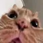 Coin image for 9iLeNiBHFvo7WF97JeNTdnM41cv8TbsSJt2rE8AACLLg
