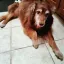Coin image for 9jds7QoioRyUrctcKfN4Bmikt5SrfQckzovN6emvpump