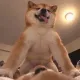Coin image for 9jkdhEBdBBhdn3CiZQvQ5H3qkZS5EMhS1HtWMKfspump