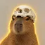 Coin image for 9koDhUxmZg4DFf1MUqQXmhHmhKLRYanRuGragtzWpump