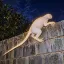 Coin image for 9mMWUPxTKXqXjo9b8zZiK5A5br6Bx1oc36e8P4Hvpump