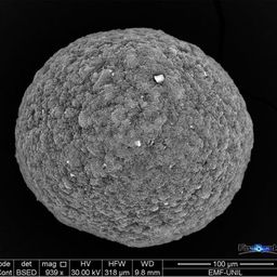 Coin image for 9n98DAtLJ7XsMWmFrVBSzPEcV85yffSXwRzE6Q2Apump