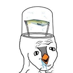 Coin image for 9oCDwfFJf3dE83ZcXSV2uNTYemi9jdZvdXSoCKUipump