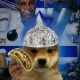 Coin image for 9oQnde2JxtwggZYycChfy9SnRHCctMqX71NH2RxYpump