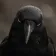 Coin image for 9quJv2nu9RQupHyLmfnVAWWZ2y7neBJqitoA2xHvpump