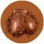 Coin image for 9rTXi3RTstGxjvZ3CmQQaBcLqWAUCzqWSN8aJRaApump