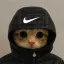 Coin image for 9rcLMZqQhdct3nMzzEySNLtWuG8NJYcQK7HHGoRKpump