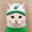 Coin image for 9sJJSXjHeM8ZrpczowrBYhqNU3dyHU8nQnvm6CH2pump