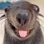 Coin image for 9sMvo75ygTdmvvVQehgBAMUqHCU4t4T6yo3KWqy4pump